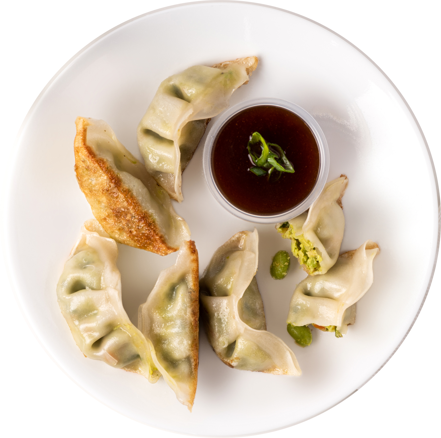 Dumpling Plate